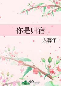 你是归宿全文阅读