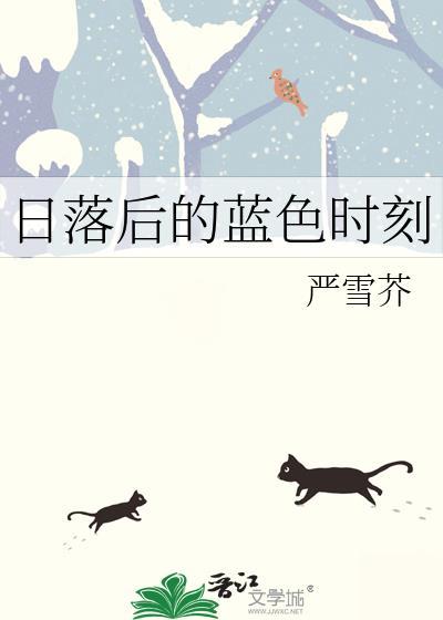 日落后的蓝色时刻TXT