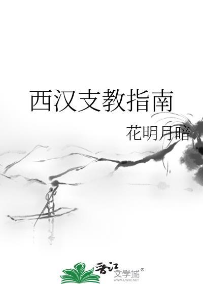 西汉支教指南花明月暗
