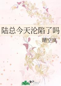 陆总今天沦陷了吗晴空岚