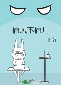 偷风不偷月 北南讲的什么