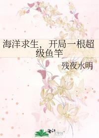 海洋求生开局获得万能航海图