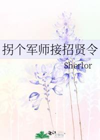 拐个军师接招贤令(Sherlor)