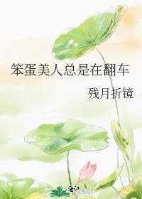 笨蛋美人总是在翻车和这个很像