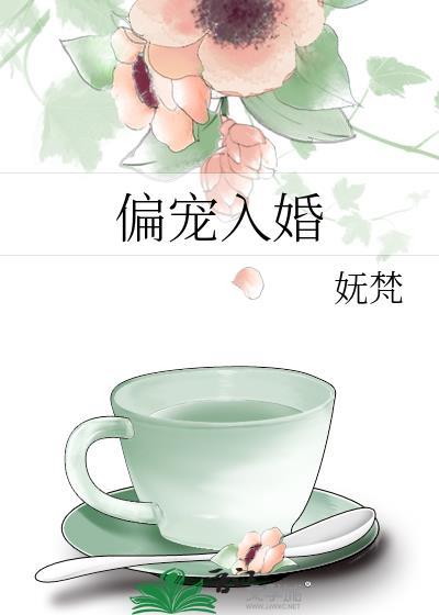 偏宠入婚晋江