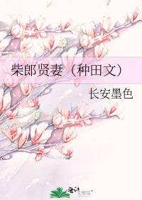 柴郎贤妻大结局