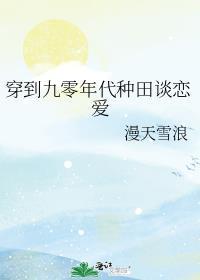 穿越九零年代记事