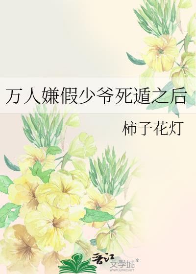 万人嫌假少爷死遁之后柿子花灯