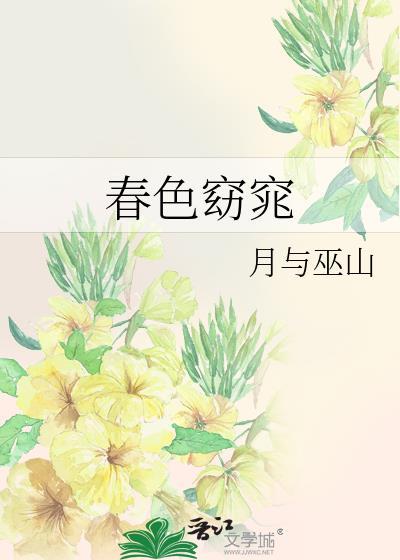 四十四次日落书籍