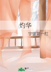 灼灼韶华电视剧