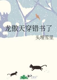 龙傲天穿错书了笔趣阁