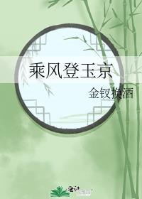 乘风登玉京需要多少钱