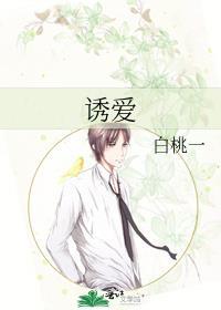 轻轻雪下免费阅读全文