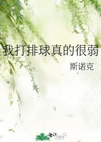 我打排球真的很弱斯诺克