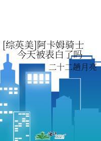 阿卡姆骑士新故事