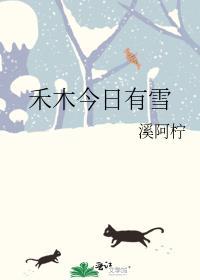 禾木今日有雪全文番外