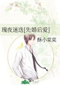 夜玫瑰全文po