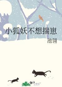 小狐妖txt