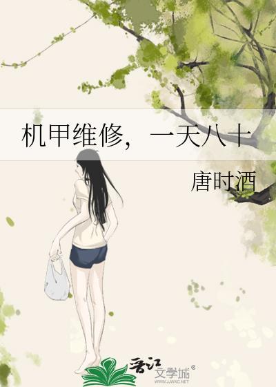 机甲维修师