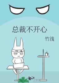 总裁不开心TXT全文阅读