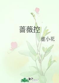 蔷薇控股最厉害三个成员