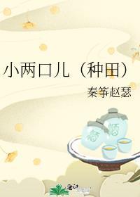 小两口儿(种田)作者艾哟哟 完结