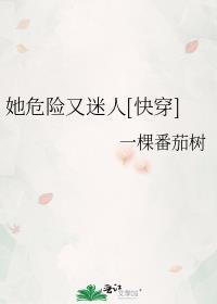 裙钗之下番外原文阅读