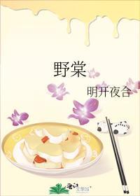 野棠txt百度全文