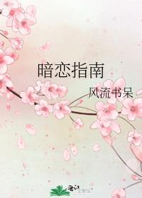 暗恋指南by风流书呆txt