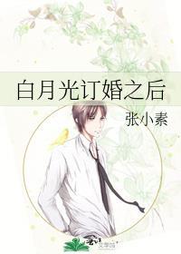 白月光订婚之后免费阅读