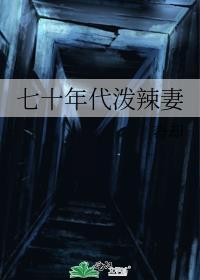 七十年代泼辣妻 杳却笔趣阁