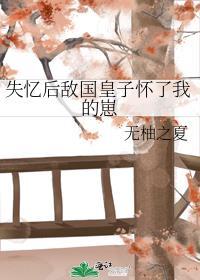 失忆后敌国皇子怀了我的崽 无柚之夏
