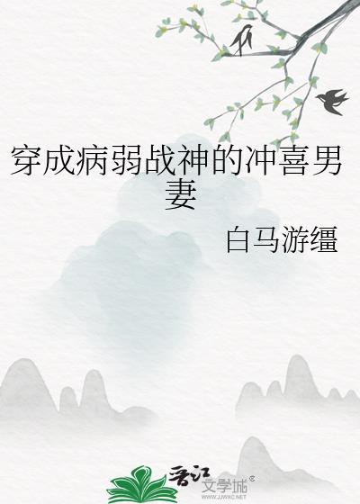 穿成病弱战神的冲喜男妻白马