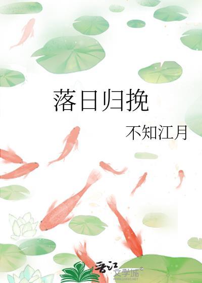 落日归途的意思