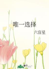 唯一选择全文免费阅读完整版