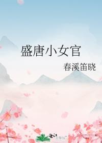 盛唐小女官讲的什么