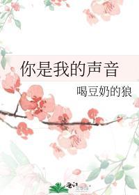 任务是攻略5T5免费兔子饼干