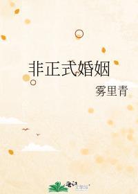 非正式婚姻讲的什么