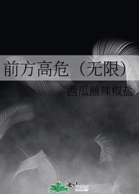 前方高危[无限