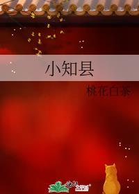 伯庸小知县