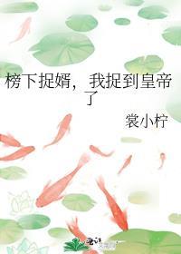 榜下捉婿全文