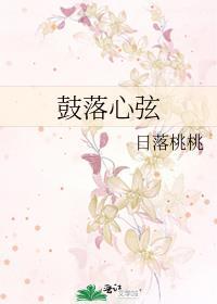 鼓落心弦作者桃渺