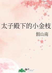 太子殿下的小金枝林岱岫结局