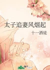 太子追妻风烟起 TXT