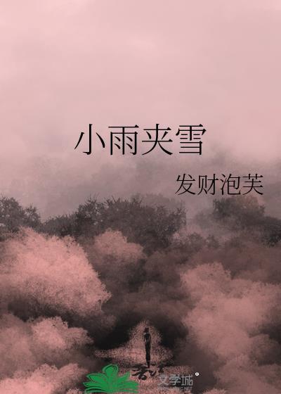 小雪和雨夹雪谁大