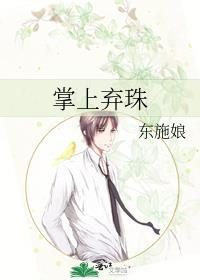 掌上珠玑