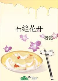 石缝花开全文免费番外