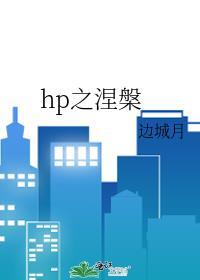 hp之涅磐 dm/ss