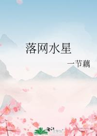极品妻七零赘婿