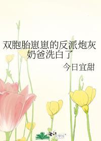 双胞胎崽崽的反派炮灰奶爸洗白了短剧全集播放